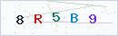Security Captcha Code