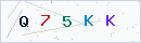 Security Captcha Code